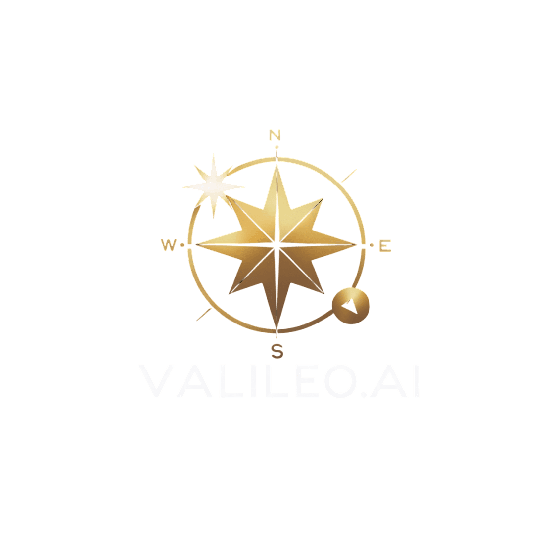 Valileo Logo